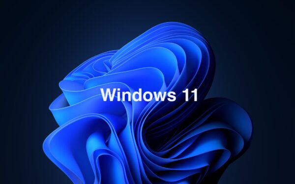 Windows 11 Pro Digital License Key (Lifetime Activation)